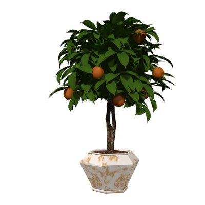 现代绿植盆栽免费su模型(1)