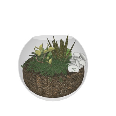 现代绿植盆栽免费su模型(1)