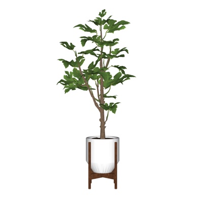 现代植物盆栽免费su模型(1)
