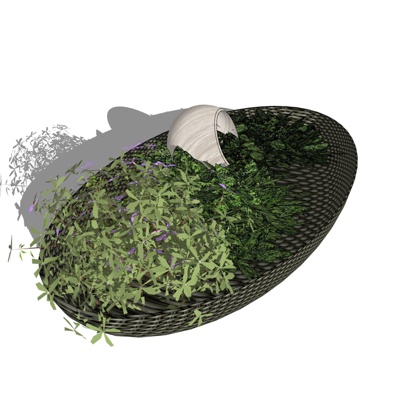 现代盆栽植物免费su模型(1)