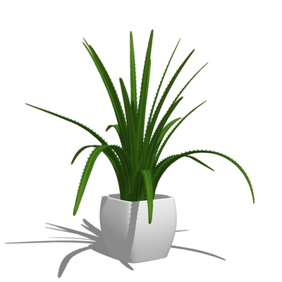 现代绿植盆栽免费su模型(1)