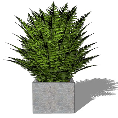 现代盆栽植物免费su模型(1)