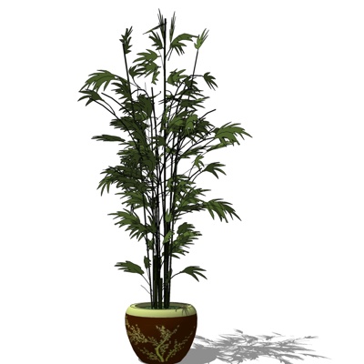 现代植物盆栽免费su模型(1)
