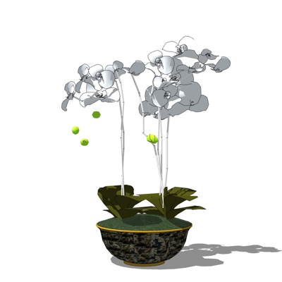 现代盆栽花卉免费su模型(1)