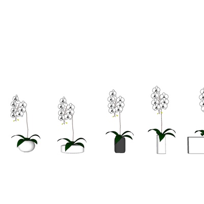 现代绿植盆栽免费su模型(1)