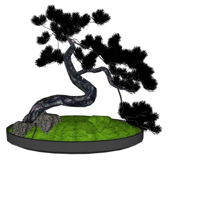 现代松树盆景免费su模型(1)