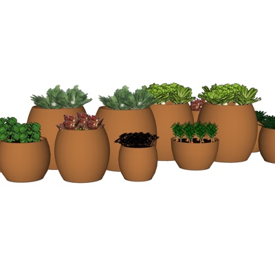 现代绿植盆栽免费su模型(1)
