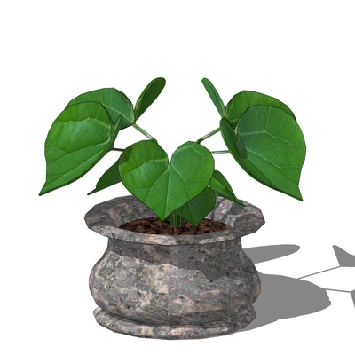 现代绿植盆栽免费su模型(1)