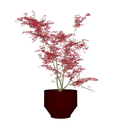 现代绿植盆栽免费su模型(1)