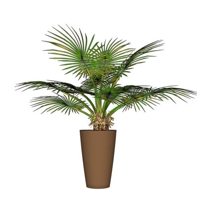 现代绿植盆栽免费su模型(1)