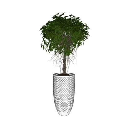 现代绿植盆栽免费su模型(1)