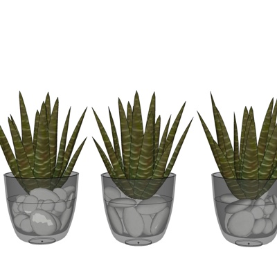 现代绿植盆栽免费su模型(1)
