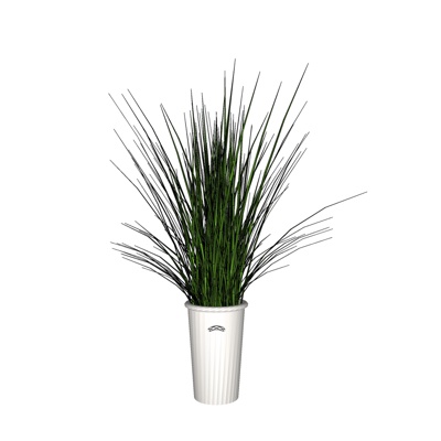 现代绿植盆栽免费su模型(1)