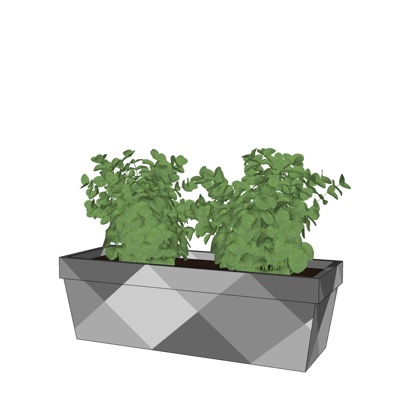 现代绿植盆栽免费su模型(1)