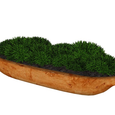 现代绿植盆景免费su模型(1)