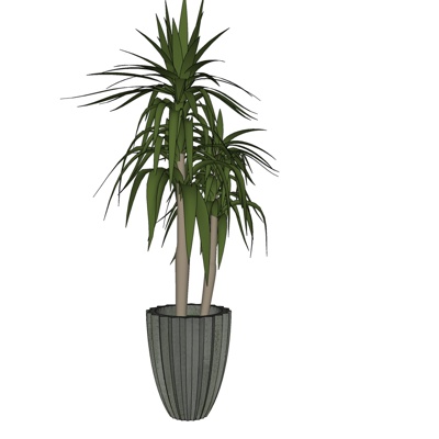 现代绿植盆栽免费su模型(1)
