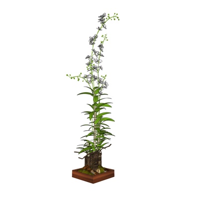 现代花卉盆栽免费su模型(1)