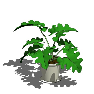 现代绿植盆栽免费su模型(1)