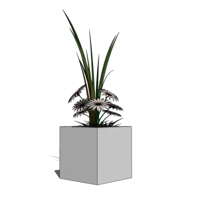 现代植物盆栽免费su模型(1)
