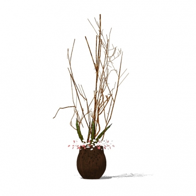 现代干支植物盆栽免费su模型(1)