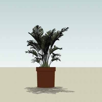 现代植物盆栽免费su模型(1)