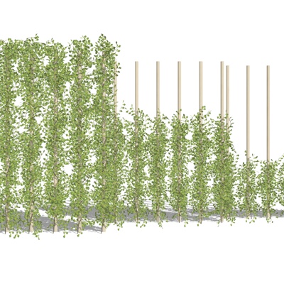 现代植物墙免费su模型(1)