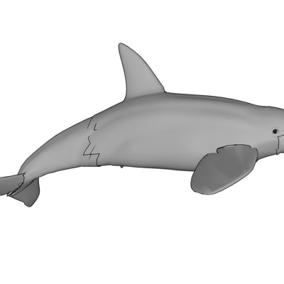 现代海豚免费su模型(1)