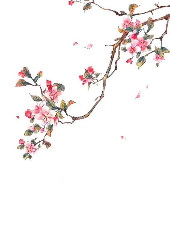中式欧式田园花鸟壁纸壁画壁布背景画 (4)中式欧式田园花鸟壁纸壁画壁布背景画 (4)(1)